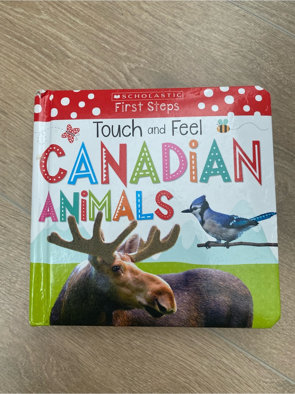 Toddler Touch Feel Board Book Canadian Animals